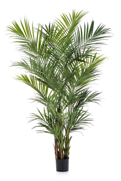 Palm de Luxe 260cm