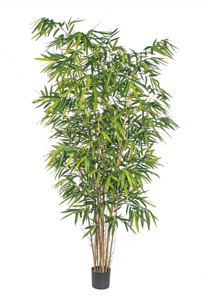 Bamboo de Luxe 240cm