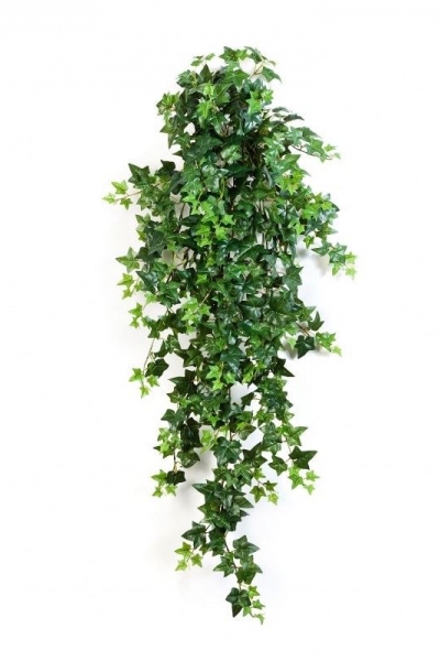 Hanging Ivy 110cm